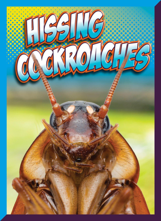 Kniha Hissing Cockroaches Storm