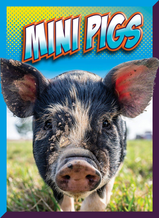 Kniha Mini Pigs Storm
