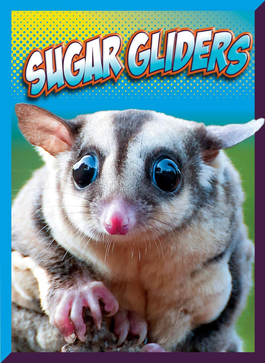 Kniha Sugar Gliders Storm