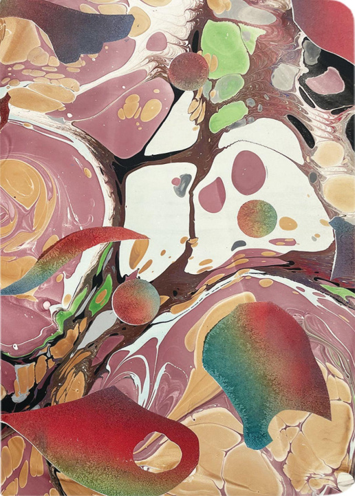Книга CARNELIAN B6 HARDCOVER NTBK MCNALLY EDITIONS