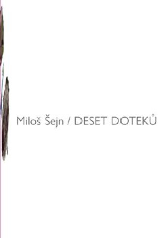 Kniha Deset doteků Miloš Šejn