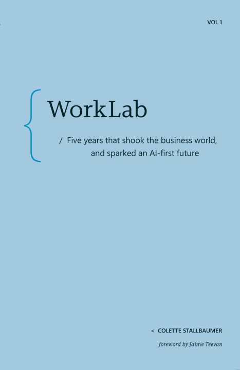 Libro WORKLAB STALLBAUMER COLETTE