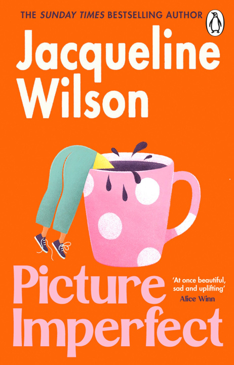 E-book Picture Imperfect Jacqueline Wilson