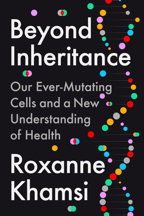 Βιβλίο Beyond Inheritance KHAMSI ROXANNE