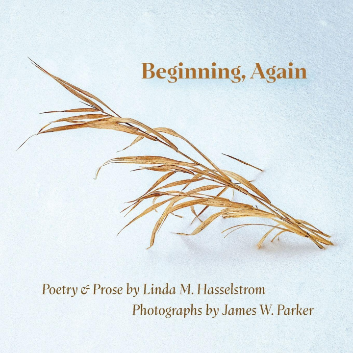 Kniha Beginning, Again James W Parker