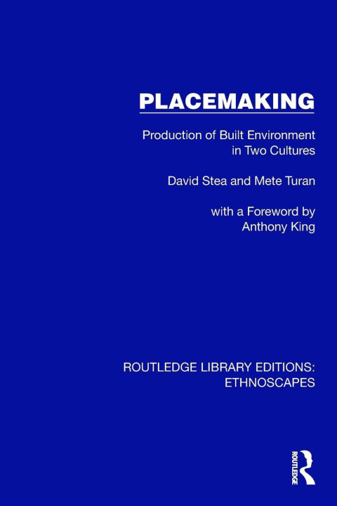 Carte Placemaking Mete Turan