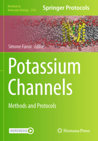 Kniha Potassium Channels Simone Furini