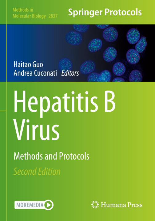Kniha Hepatitis B Virus Andrea Cuconati