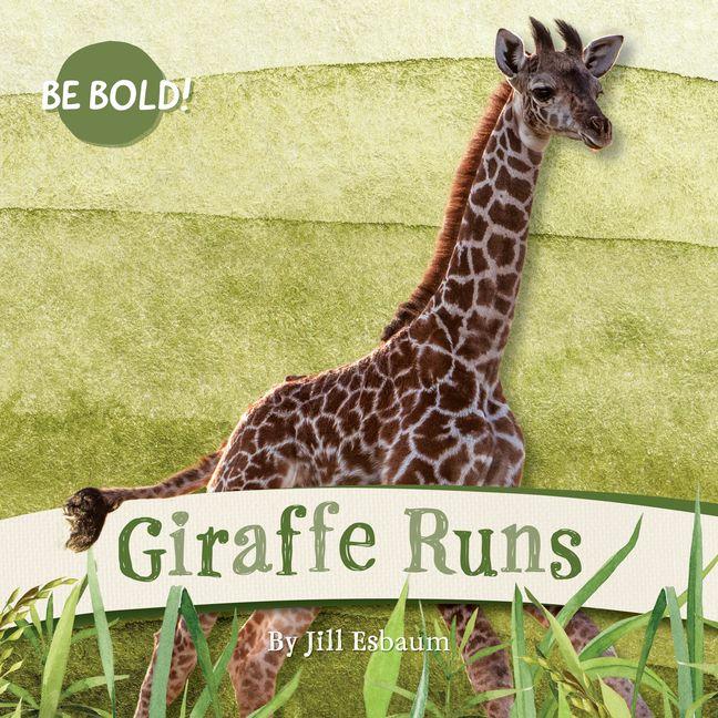 Kniha Giraffe Runs! 