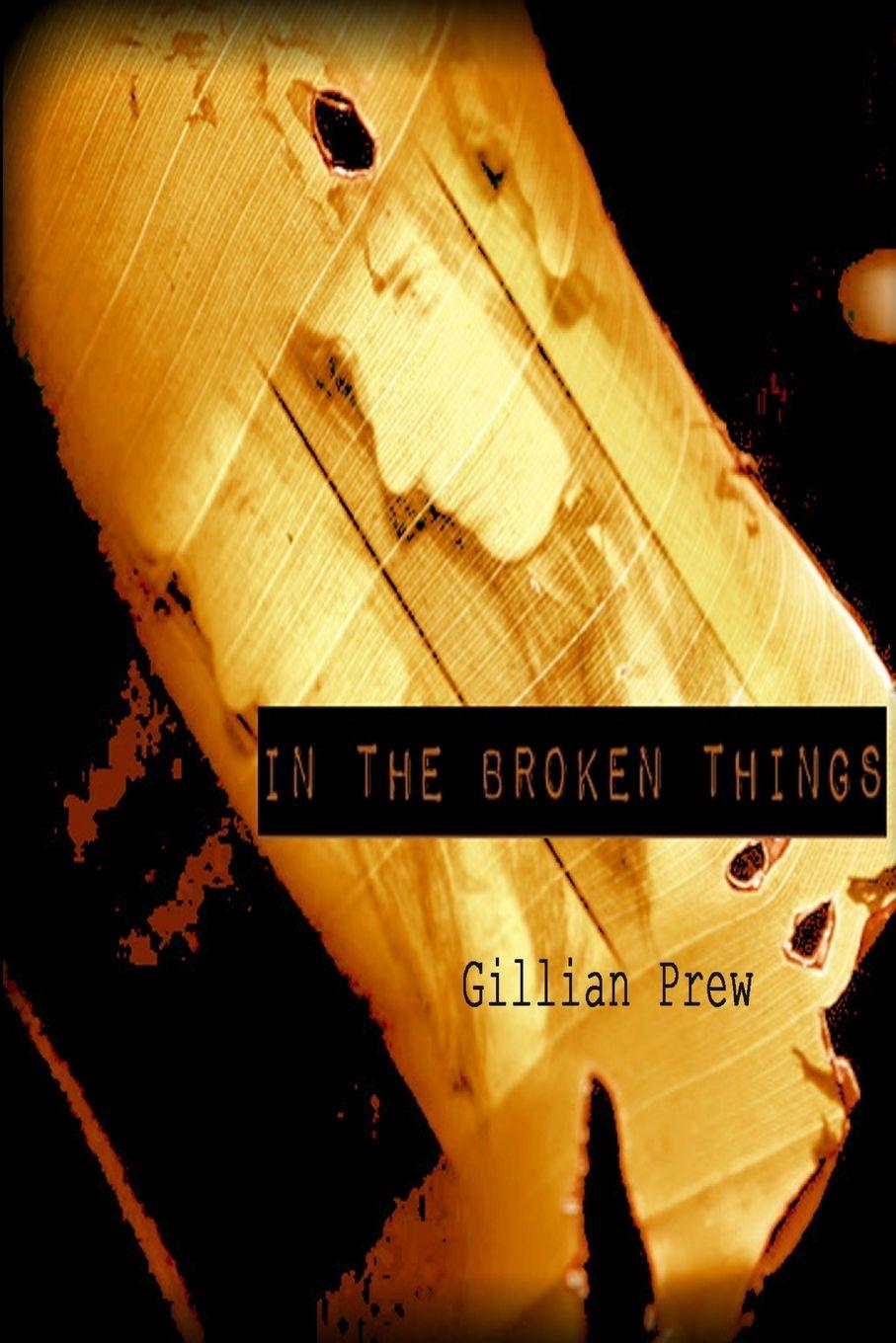 Kniha In the Broken Things Virgogray Press