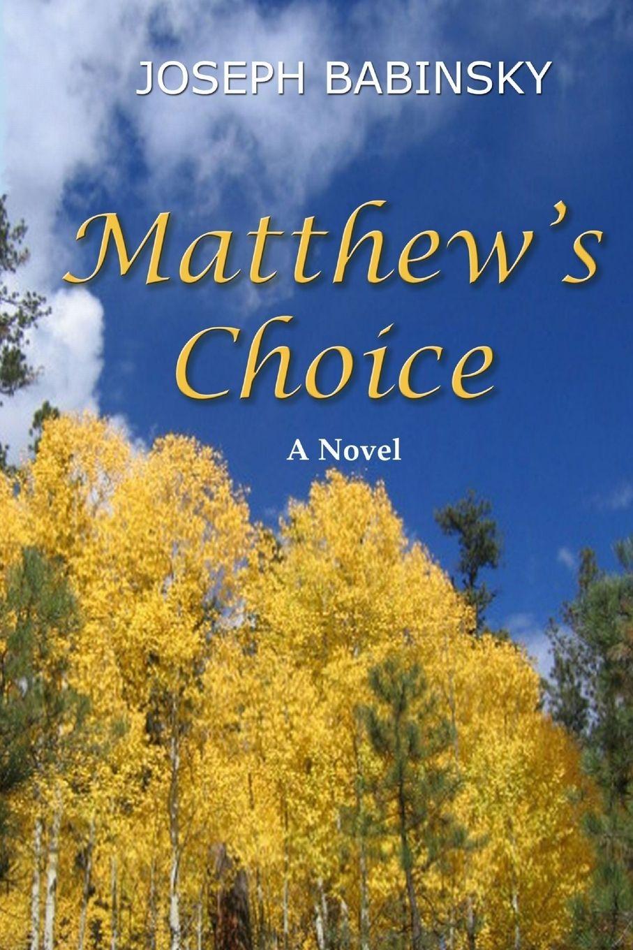 Knjiga Matthew's Choice Joseph Babinsky