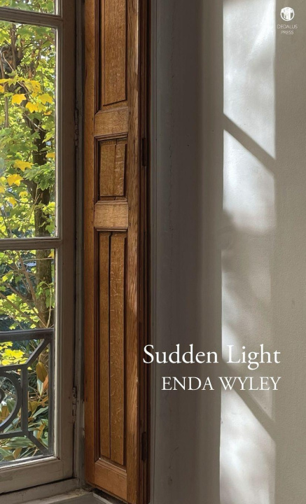 Kniha Sudden Light Enda Wyley