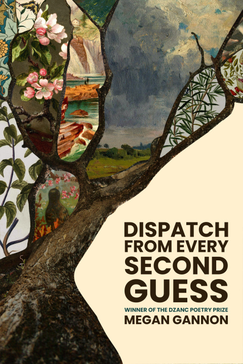 Kniha Dispatch from Every Second Guess Megan Gannon