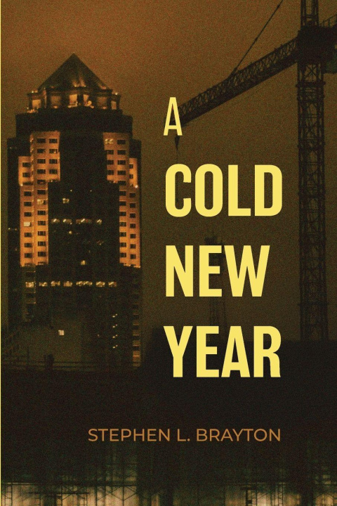 Kniha A Cold New Year Stephen L. Brayton