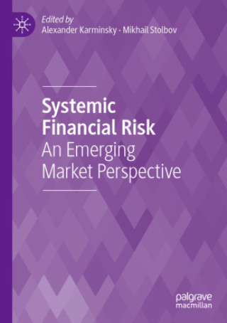 Kniha Systemic Financial Risk Mikhail Stolbov