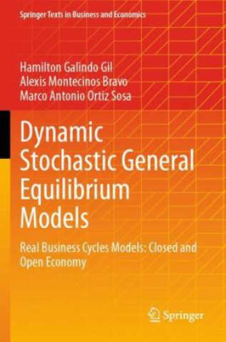 Kniha Dynamic Stochastic General Equilibrium Models Alexis Montecinos Bravo