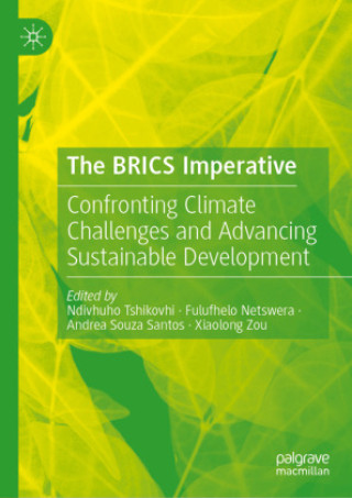 Książka The BRICS Imperative Fulufhelo Netswera
