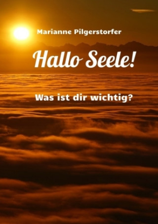 Buch Hallo Seele Marianne Pilgerstorfer