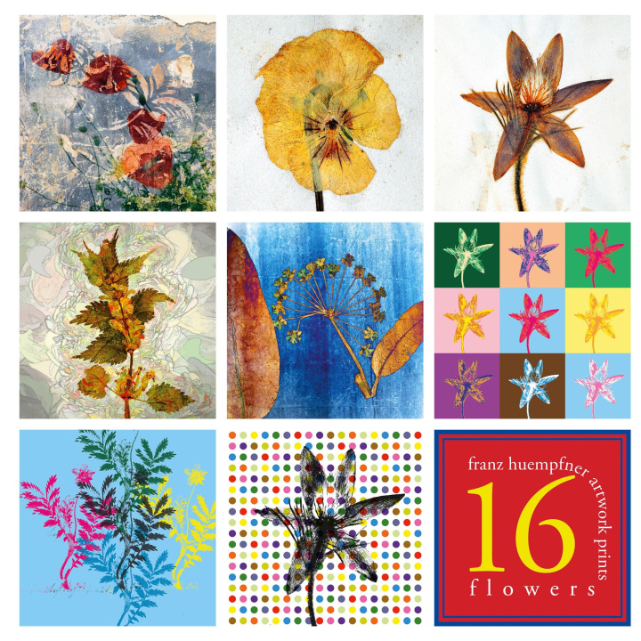 Kniha 16 Artworks - Flowers 