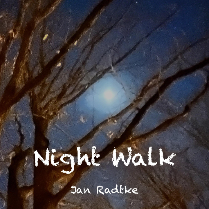 Knjiga Night Walk 