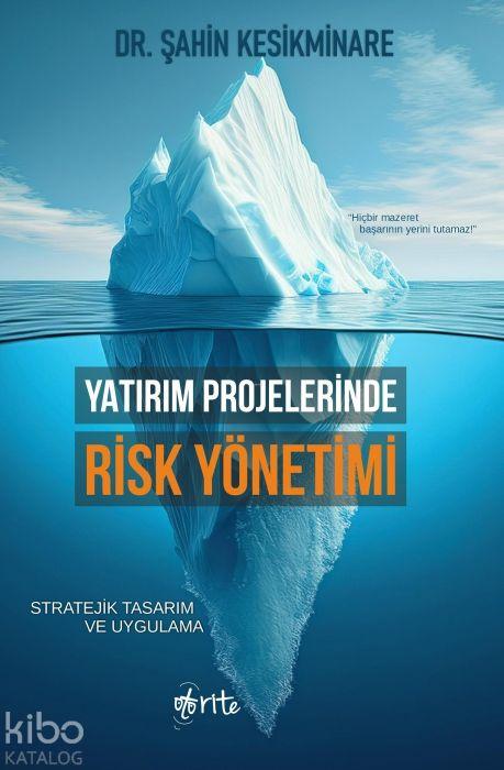 Kniha Yatirim Projelerinde Risk Yönetimi 