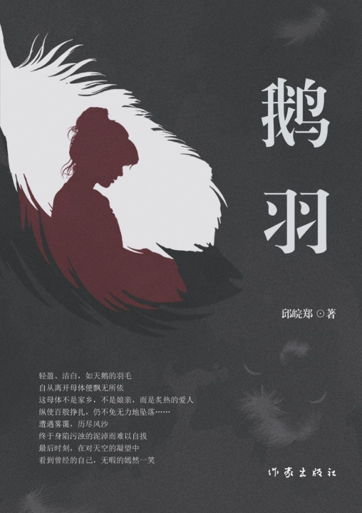 Kniha Goose Feathers/¿¿ 邱皖郑