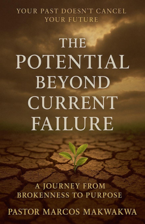 Kniha The Potential Beyond Current Failure Mulate