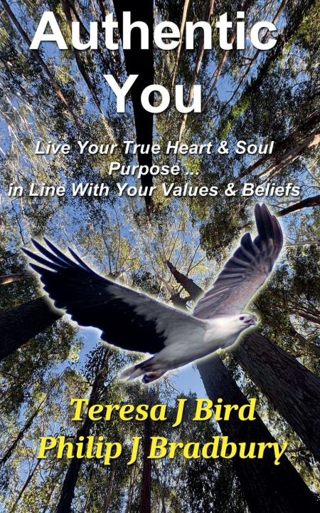 Kniha Authentic You Teresa J Bird