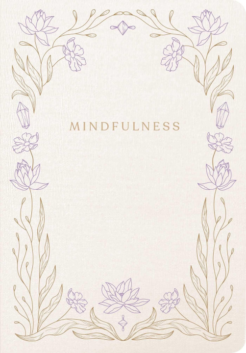 Kniha Mindfulness INSIGHT