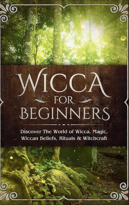 Kniha Wicca for Beginners Sofia Visconti