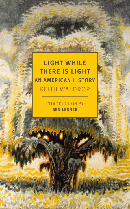 Kniha Light While There Is Light WALDROP KEITH
