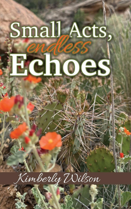 Knjiga Small Acts. Endless Echoes Kimberly Wilson