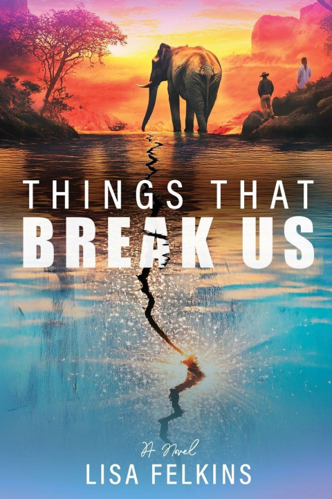 Kniha Things That Break Us Lisa Felkins