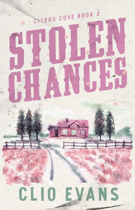 Buch Stolen Chances Clio Evans