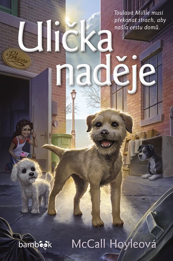 Knjiga Ulička naděje McCall Hoyleová