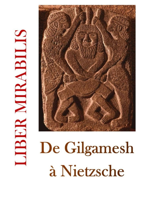Knjiga DE NIET SAVARY