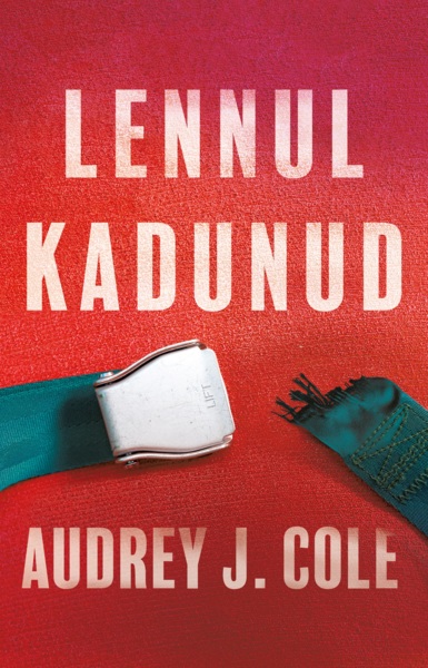 Knjiga Lennul kadunud 