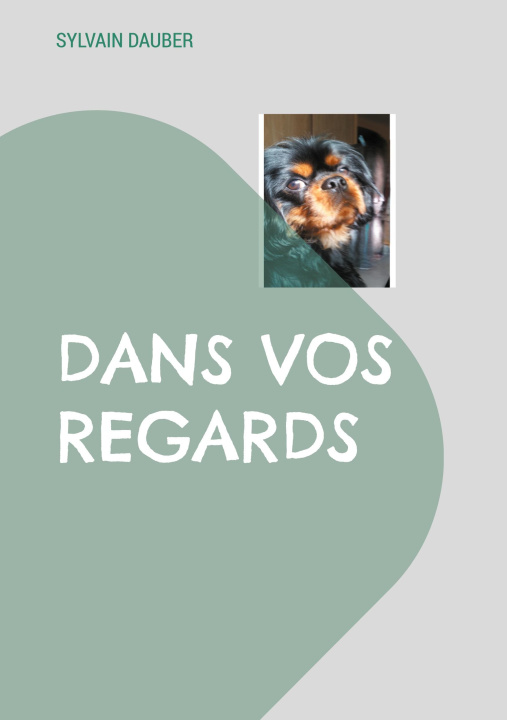 Kniha DANS VOS REGARDS DAUBER SYLVAIN