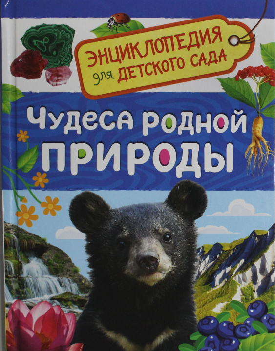 Kniha Чудеса родной природы (Энциклопедия для детского сада) Лариса Клюшник