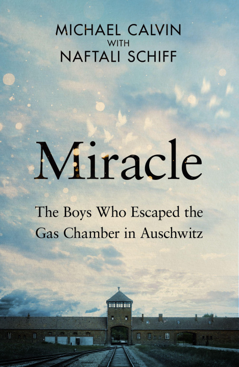 Book Miracle Naftali Schiff