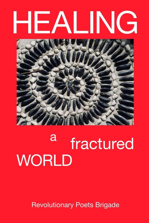 Kniha Healing A Fractured World Kristina Brown