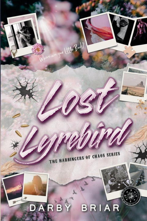 Kniha Lost Lyrebird Darby Briar