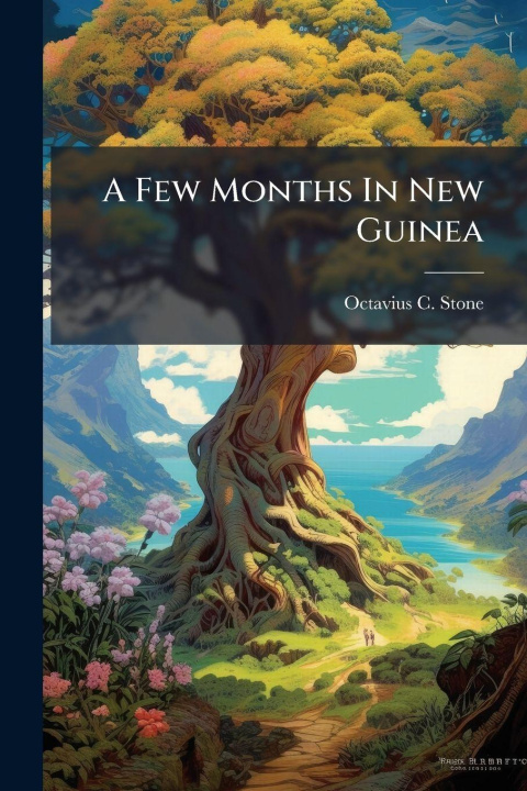 Kniha A Few Months In New Guinea Octavius C. Stone