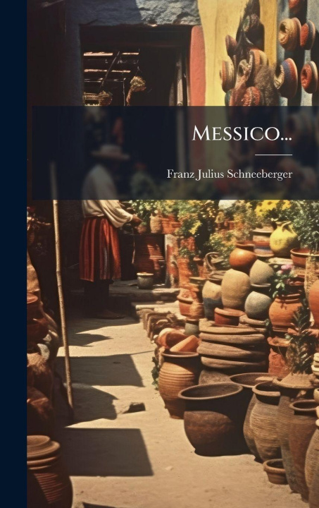 Buch Messico... Franz Julius Schneeberger