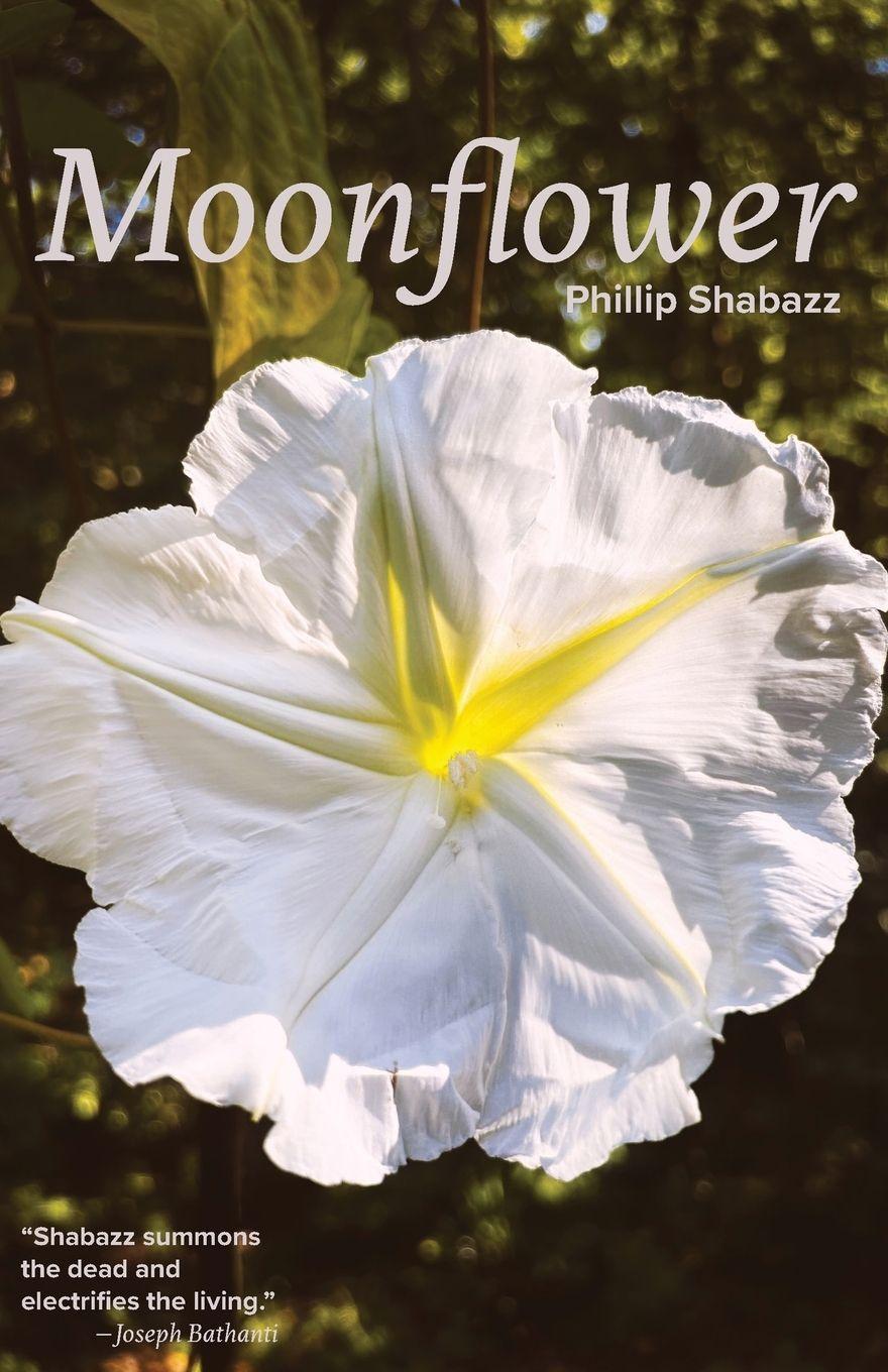 Kniha Moonflower Phillip Shabazz