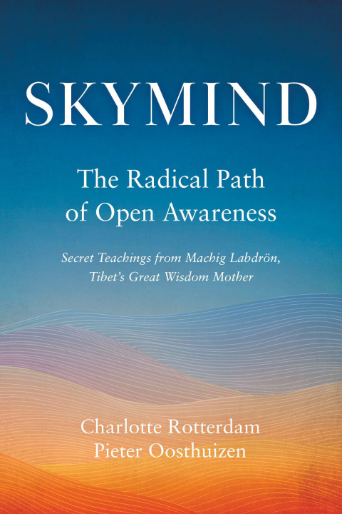 Kniha Skymind Pieter Oosthuizen