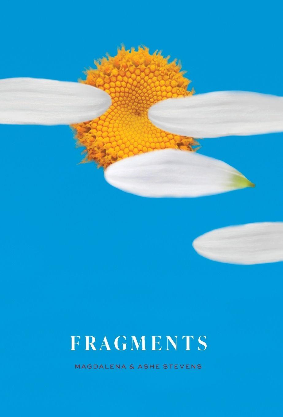 Knjiga Fragments Ashe Stevens