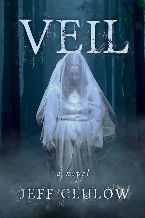 Kniha Veil Jeff Clulow
