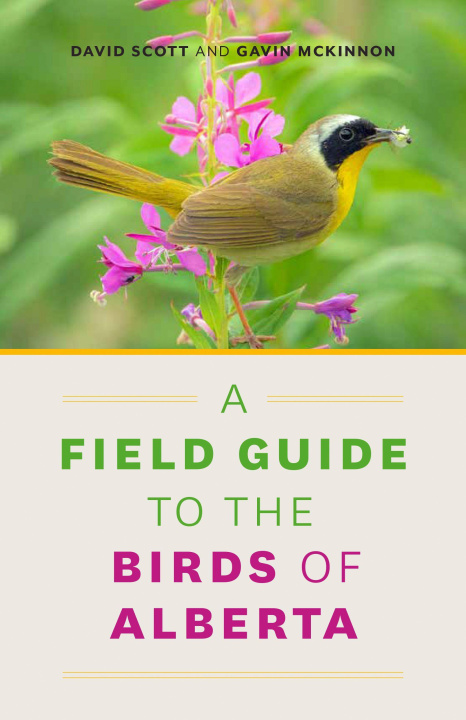 Kniha A Field Guide to the Birds of Alberta Gavin McKinnon