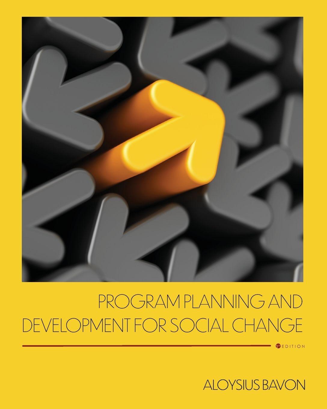 Kniha Program Planning and Development for Social Change Aloysius Bavon